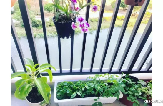 Bán Căn Hộ Jamila Khang Điền Quận 9 – 75m 2PN View Sông, Giá Tốt